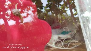 Φωτογραφία από το άλμπουμ του whitiedoggie Villa σε Eluan