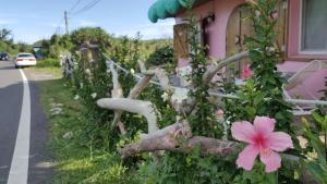 Κήπος έξω από το whitiedoggie Villa