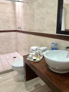La salle de bains est pourvue d'un lavabo et de toilettes. dans l'établissement ZAMORA EJECUTIVO EXPRESS, à Zamora de Hidalgo