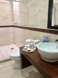 a bathroom with a sink and a toilet at ZAMORA EJECUTIVO EXPRESS in Zamora de Hidalgo