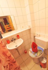 a bathroom with a sink and a toilet and a mirror at Golden River in Unterseen