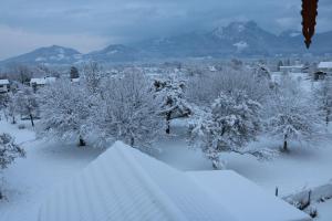 un patio cubierto de nieve con árboles y montañas al fondo en Pension Berghof, en Brannenburg
