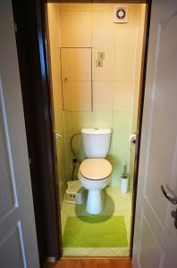 a bathroom with a toilet in a small room at Apartman May Tatranska Lomnica in Tatranská Lomnica