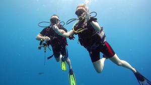 two girls are diving in the water in the ocean at Equatorial Divers Lodge in Feydhoo