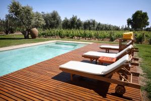 a deck with chairs and a swimming pool at Club Tapiz in Chacras de Coria