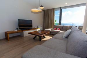a living room with a couch and a flat screen tv at Villa Puntin - Drvenik in Drvenik