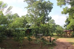 Billede fra billedgalleriet på Wilpattu Holiday Home i Nochchiyagama