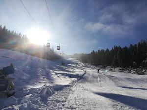 Vila Magnolija v zimě