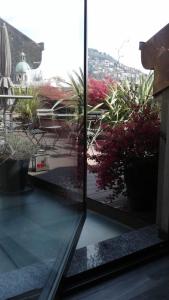 a view from a window of a building with plants at Como Via Carcano 13 in Como