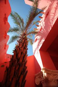 a palm tree sitting next to a red wall at A Fei Surf Inn III in Nanwan