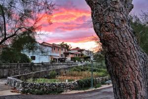 a sunset behind a tree with houses in the background at Apartments Vila Ida in Vantačići