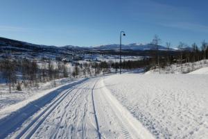 a snow covered road with tracks in the snow at Bergfosshytta in Ron