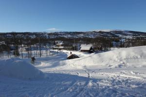 a person is skiing down a snow covered slope at Bergfosshytta in Ron