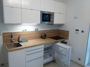Kuchyň nebo kuchyňský kout v ubytování Garden studio apt-FREE parking,close D8,metro,EXPO