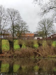 ein Wasserkörper mit Bäumen und Häusern im Hintergrund in der Unterkunft Wolfshaegen 180 in Huldenberg