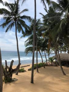 a beach with palm trees and the ocean at Blue Ocean Villa in Hikkaduwa