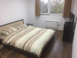 A bed or beds in a room at Dunav Apart Még 11 kép