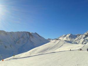 wolf.tirol v zime