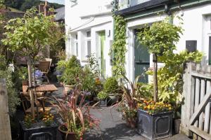 um jardim em frente a uma casa com plantas em Lowerbourne House Studio em Porlock