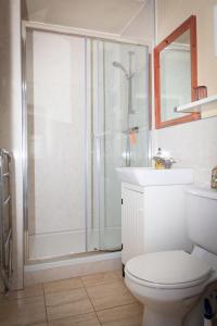 W łazience znajduje się prysznic, toaleta i umywalka. w obiekcie Lowerbourne House Studio w mieście Porlock