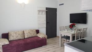TV a/nebo společenská místnost v ubytování Apartamenty pod Czyrną