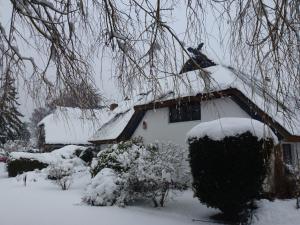 a house with snow on the roof at Landhaus Darss in Wieck