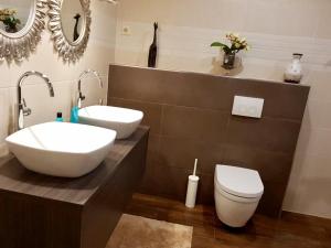 La salle de bains est pourvue d'un lavabo, de toilettes et de miroirs. dans l'établissement Beijerse inn, à Nieuw-Beijerland