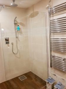 een badkamer met een douche en een glazen deur bij Beijerse inn in Nieuw-Beijerland