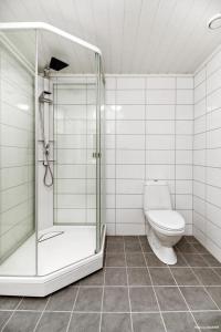 a bathroom with a shower and a toilet at Bjørndalsvatnet in Hornnes