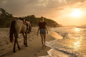 two horses walking on the beach near the water at Dreamer Palomino in Palomino