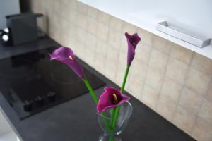 Fotografija u galeriji objekta Davcom Studio u gradu Fagaraš