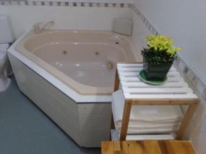 a bath tub with a potted plant in a bathroom at Colonial Lodge Motel in Taupo