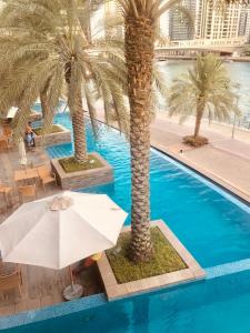 an umbrella and palm trees next to a swimming pool at Park Island, Dubai Marina in Dubai