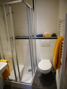 a bathroom with a toilet and a glass shower at Haus Nethegau in Bad Driburg