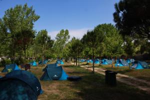 un grupo de tiendas azules en un campo con árboles en Campeggio Boscoverde en Torre del Lago Puccini