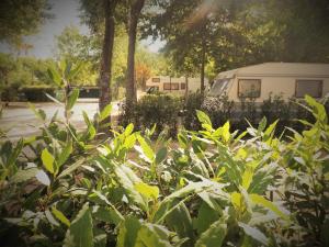 A garden outside Campeggio Boscoverde