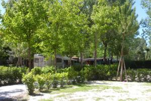 A garden outside Campeggio Boscoverde