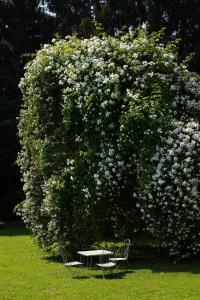 A garden outside Landhaus Hindenburg