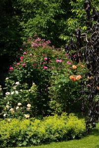 A garden outside Landhaus Hindenburg