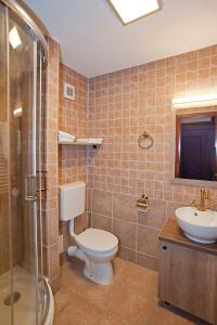uma casa de banho com um WC, um lavatório e um chuveiro em Hotel Regina em Sinaia