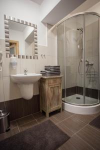 畢奧卡塔柴斯卡的住宿－格辛尼克伊赫熱巴西亞尼亞波德斯奧塔利斯瓦賓館，一间带水槽和淋浴的浴室