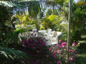 Zahrada ubytování Jabaquara Beach Resort