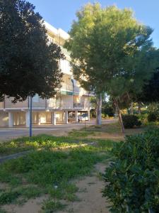 Ogród w obiekcie Punta Prima beach apt Orihuela Costa