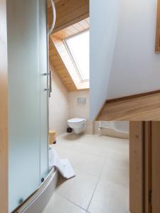 an attic bathroom with a toilet and a skylight at Ziołowy Dworek in Wisła