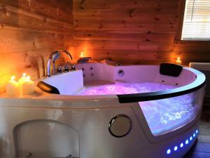 a bath tub in a room with aperature at Domaine De La Boulaie in Treize-Vents