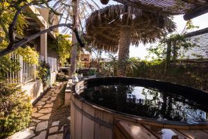 a hot tub in a backyard with a palm tree at Desert Home in Mitzpe Ramon