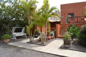un patio con palmeras y un banco frente a una casa en Finca Los Castaños en Los Realejos