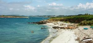 a beach with people and animals in the water at Plouguerneau - maison à 200 m de la mer in Plouguerneau