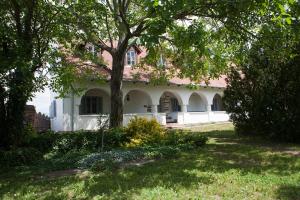 a large white house with a tree in the yard at Grand Balaton House in Kővágóörs