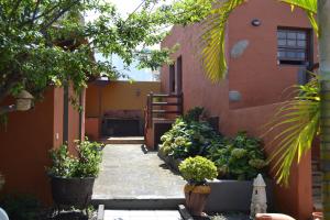 Ogród w obiekcie Finca Los Castaños